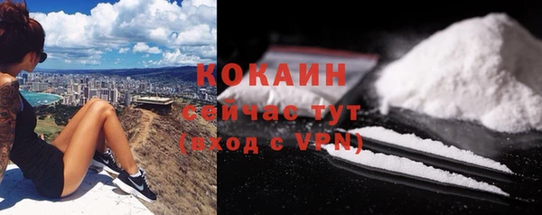 Альфа ПВП Богородицк