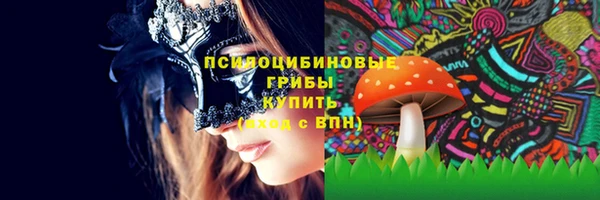 винт Аркадак