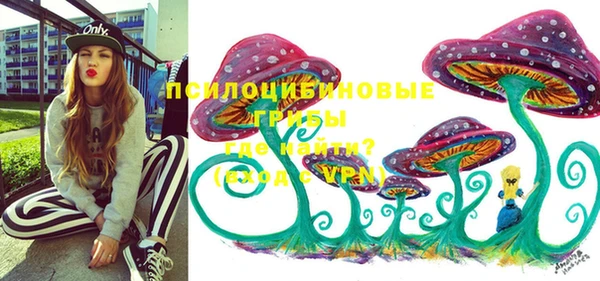 винт Аркадак