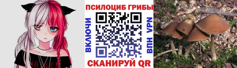 Псилоцибиновые грибы прущие грибы  Нея 